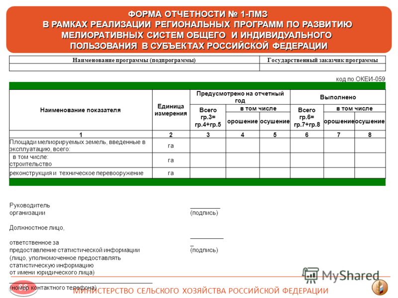 Наименование программы. Формы отчетности. 85 Форма отчетности. Отчетность по форме 85 к. Форма отчетности апартаментов.